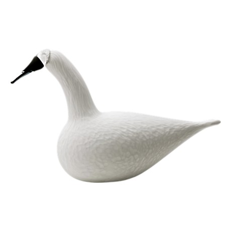 Gulbė giesmininkė 330x210 mm balta | Whooper Swan white