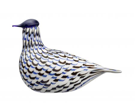 2023 metų paukštis Blue Charadrius 215x130m | Annual bird 2023